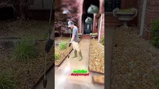 He hasn’t seen anybody work free before,and the neighbor was very angry!