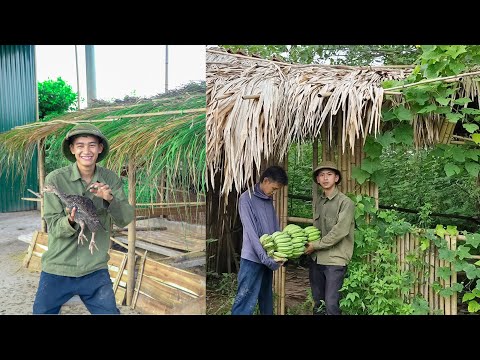 Gardening life and building a farm