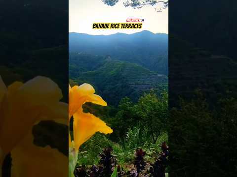 #banauericeterraces #philippines #nature #fypシ゚viral #benguetprovince #vacation