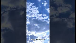Why sky is blue?🤷🏻‍♂️ #LightScattering #sciencefacts  #curiousminds #didyouknow  #physicsinaction