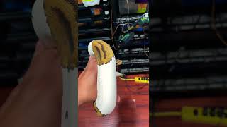 😱 Is This The Most Perfect Pied Ball Python?