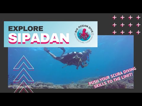 Explore: SIPADAN - Big Ocean Dive