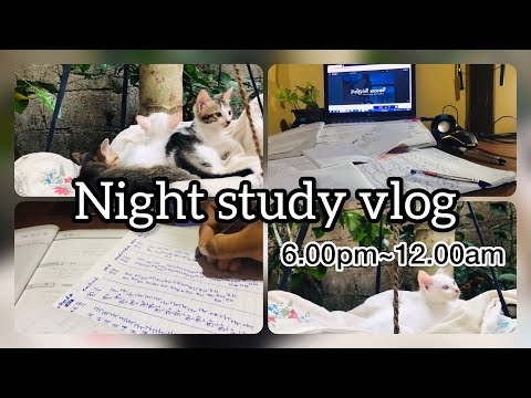 Night Study Vlog 🌚 කම්මැලි නැතුව පාඩම් කරන්න හොද ක්‍රමයක් 🙀📝 රෑට පාඩම් කරන අයට විශේෂයි 🌸 #viral