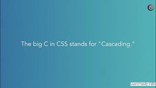 Why You Shouldn’t Use Only CSS Classes | CSS Selectors Best Practices Explained