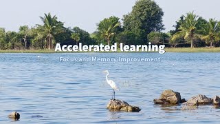 Accelerated Learning - Focus & Memory Improvement (Gamma Waves)