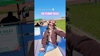 The Flower Fields in Carlsbad | Butterfly Exhibit #TheFlowerFields #CarlsbadCA #SpringVibes