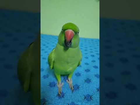 Dr. vs Patient funny video #shorts #viral #viralshorts