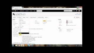 JIRA Defect resolution workflow