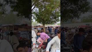 SPSC Sindh Public Service Commission Test 📝 #reels #shortvideo #viral #shortsviral #shorts