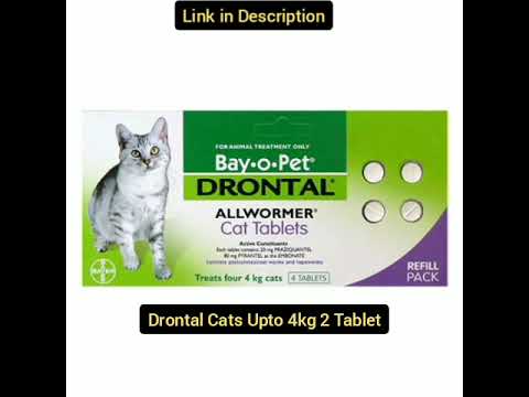 Cat medicine #cat #medicine