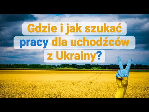 Gdzie i jak szukać pracy dla ukraińskich uchodźców w Polsce?