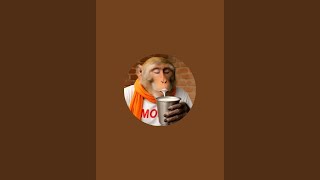 @techcartoon is live
