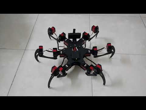 Hexapod Robot - Venom: Movement Demonstration