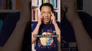 Morning Habits That Rewire Your Brain 🧠⚡️