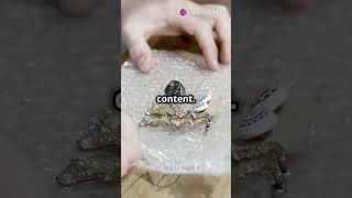 CSS PADDING vs MARGIN: The Mind-Blowing Trick Every Designer Must Know