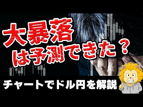 【FX ドル円】エリオット波動で７月のドル円大暴落は予測可能だった！？