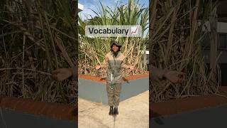 What are we propagating?🌱#learnonyoutube