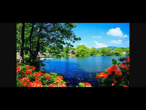 Psalms 119 in Malayalam verse 105 onwards