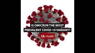 Q&A: Is Omicron the most prevalent COVID-19 variant?
