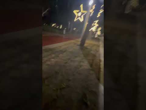 Feeding a starving stray cat (Dw peaches is a paid actor)