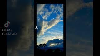 #California #sunset #palmtrees #localguide #letsguide #googlemaps #reviews #googleguide #beautiful