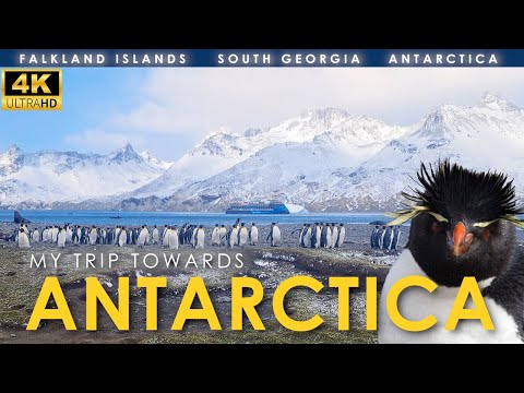My Trip Towards Antarctica 🇦🇶 (Cost, Value, What to Expect) | Great Austral Loop