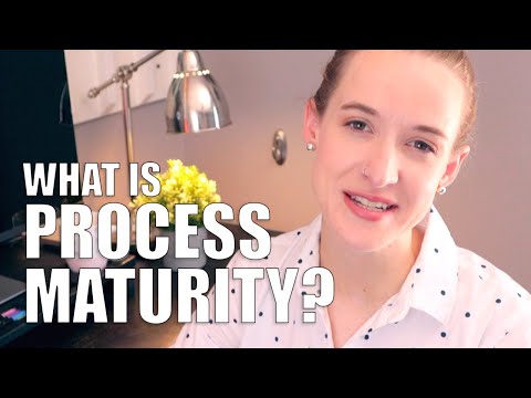 How Does Our Process Maturity Survey Work?