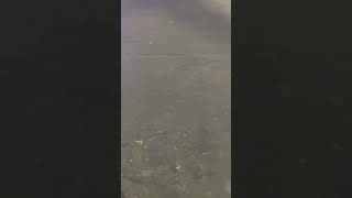 #coding #lifestyle #movie #bollywood #songs #development #javascriptdeveloper #programming #night