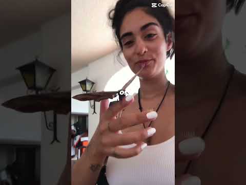 Here’s to more adventures!! #travel #vlog #ytshort #youtubeshorts #thailand #mexico #morocco