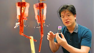 Meet Shoji Takeuchi and Yuya Morimoto — Rise of the biohybrid robots (Audio:EN, Subs:JP|EN)