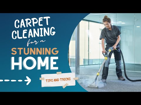 Renewed Radiance: Carpet Cleaning for a Stunning Home - Carpet Cleaning Tips