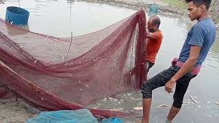 The ABSOLUTE BEST Fish Caching Techniques(fish)