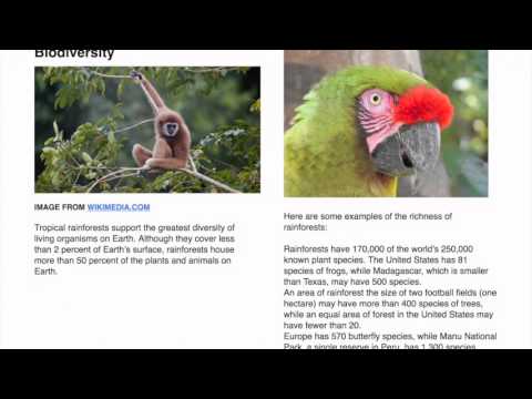 Digital Publishing Video 5 - Exporting and Engaging