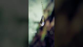 Mobile photography #mobilephotography #mobilevideography #mobileediting #mobileshorts #shorts