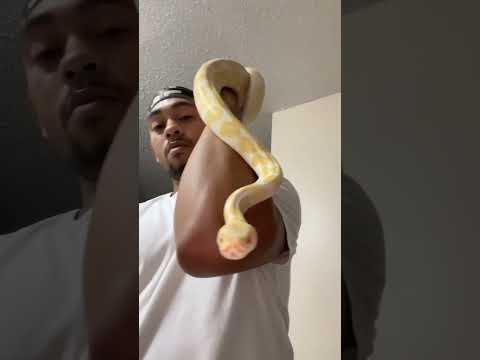 Me and Zeus 🔥