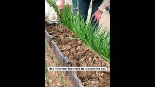Soil loosening tool #garden #gardening #gardentips #gardencare #gardentool #viral #foryou