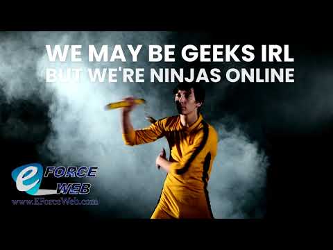 Hire An Internet Ninja, Get Your Phones Ringing Fast! Get $100 FREE Leads*