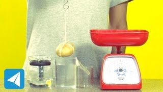 Archimedes Principle demonstration | Buoyancy | Physics