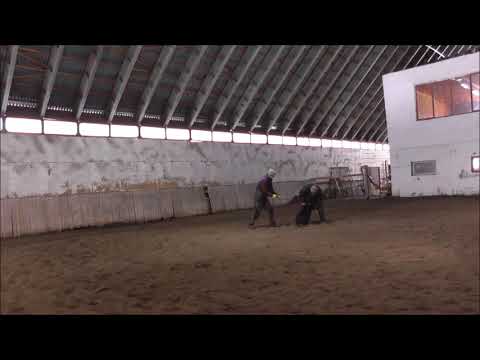 Prodox: Ben protection 2