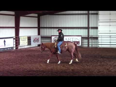 Training Tip Tuesday