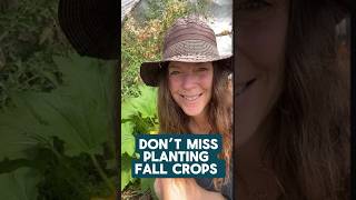 Time to plant fall crops. Harvest homegrown food this winter #fallgreens #homegrownfood #gardentips