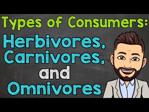 Types of Consumers | Herbivores, Carnivores, and Omnivores