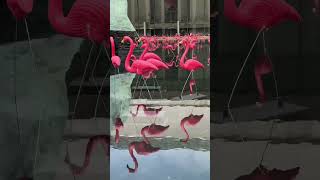 LINCOLN CENTER’S Summer For The City designed by Clint Ramos, Lincoln Center Manhattan New York City