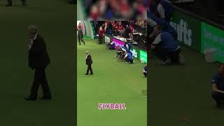 Dog Sports and Activities