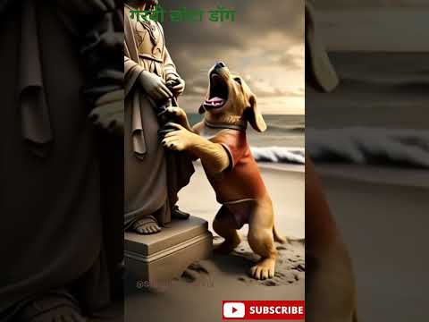 गरीब छोटा पप्पी जो अमीर बनता है #viralvideo #shorts #facts