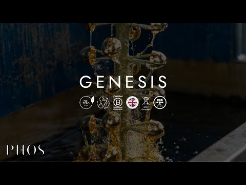 The Origin of Light, Form and Feeling | Genesis by Phos