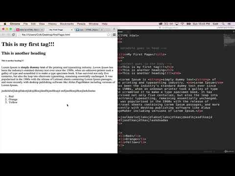 Complete Web Developer Bootcamp #10 | HTML Lists