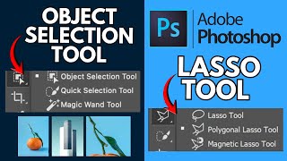 Object Selection Tool & Lasso Tool | The Right Choice for Every Project | Hbn official