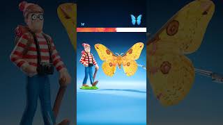 How Big is the World's Biggest Moth?