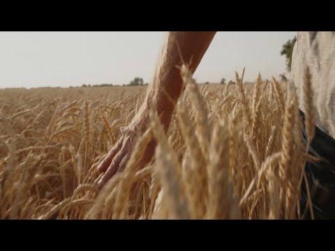 Chobani - Thank You (Chris Hajian Score)